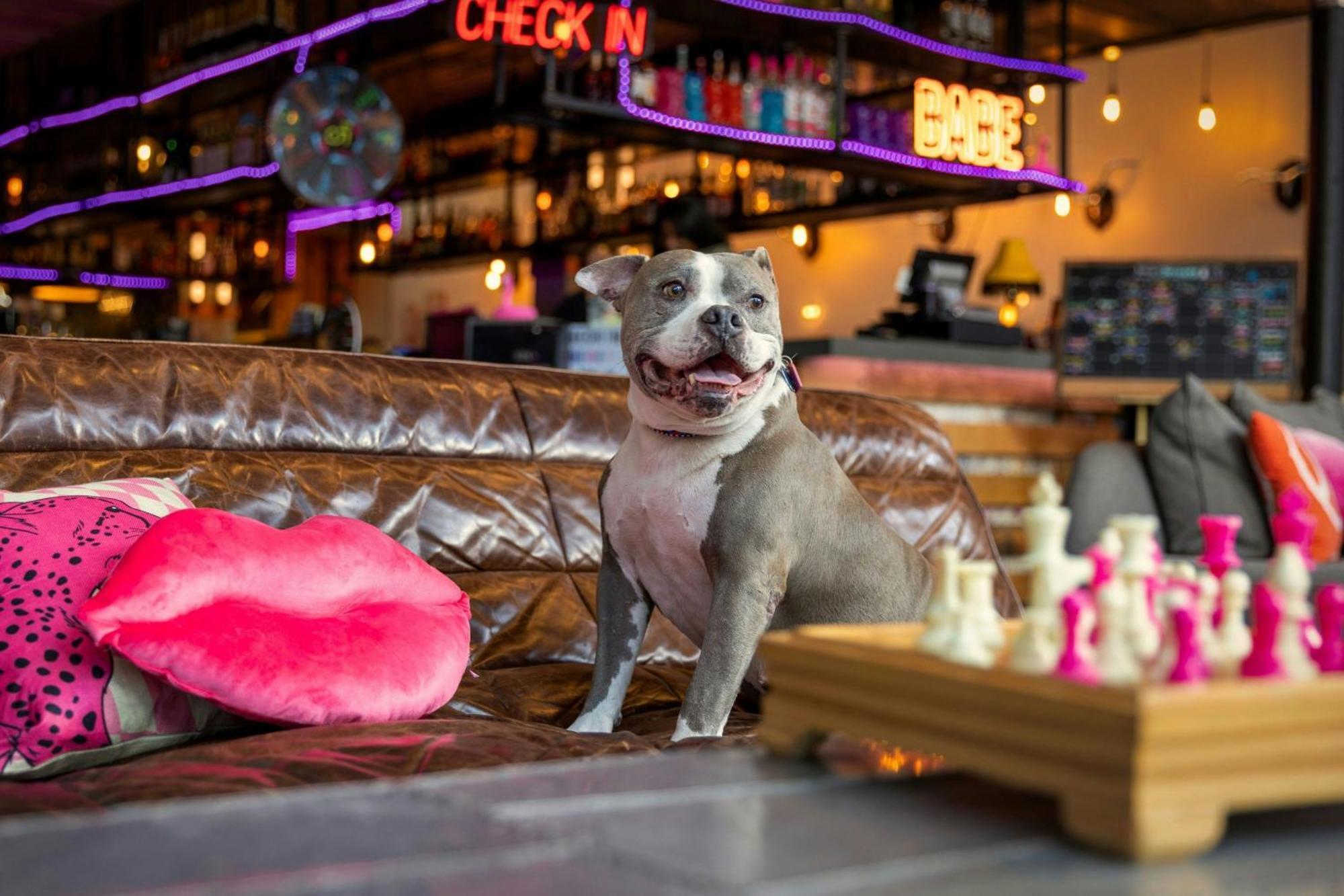 Moxy Washington, Dc Downtown Hotel Екстериор снимка