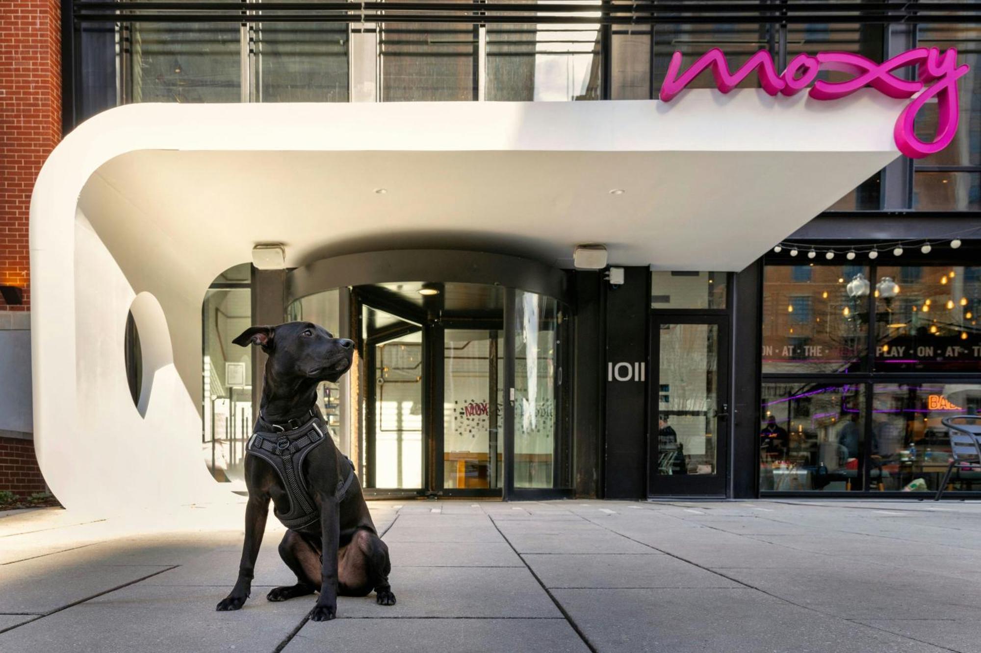 Moxy Washington, Dc Downtown Hotel Екстериор снимка